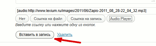 Вставляем в запись